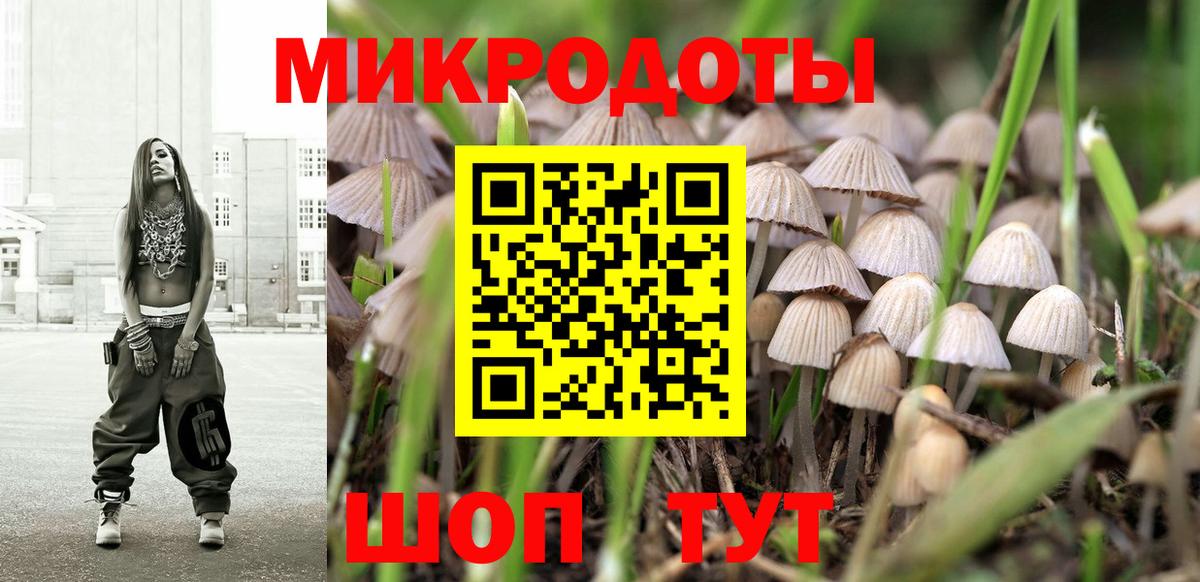 Галлюциногенные грибы Psilocybe Саранск